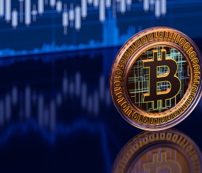 包含SEC遭遇大幅下滑超23%，投资者恐慌性抛售的词条
