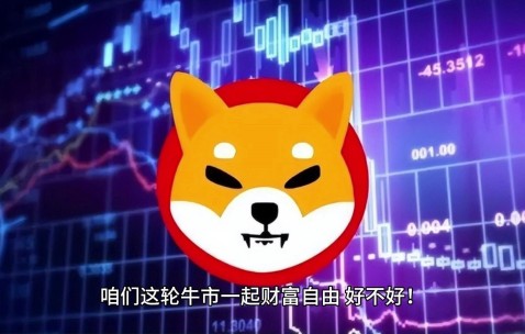 九游体育下载-专家称SHIB将在年底冲破6.31美元，引发引发关注