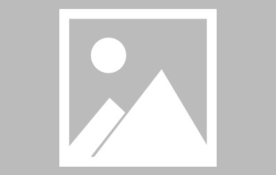 关于专家称TON将在年底冲破500美元，引发引发关注的信息