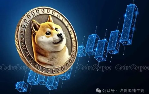 九游体育官网-美联储上扬势惊人，一夜飙升狗狗币%，加密市场沸腾